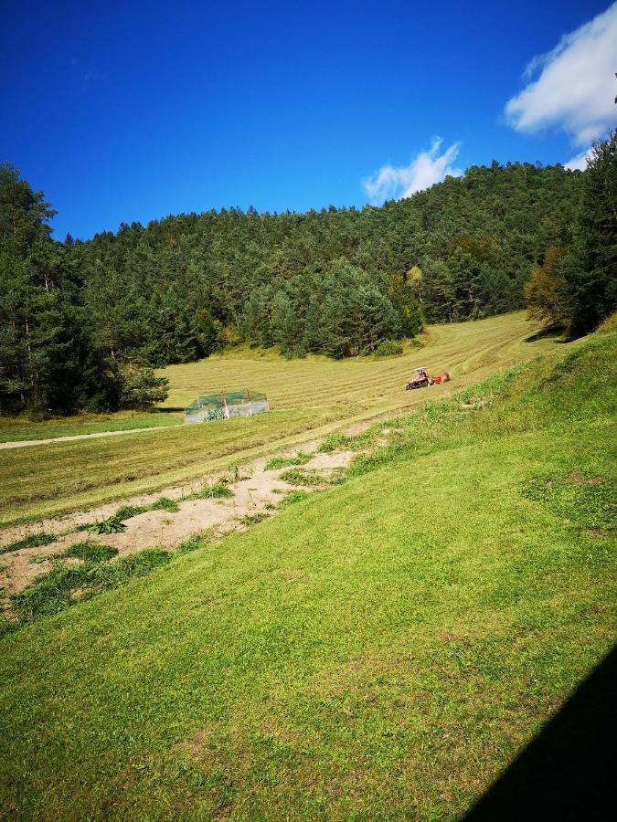 Valle Divina Mislinja Esterno foto